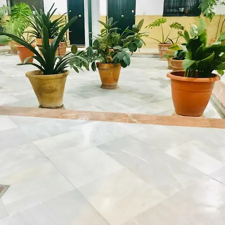 아파트 Patios De La Juderia *